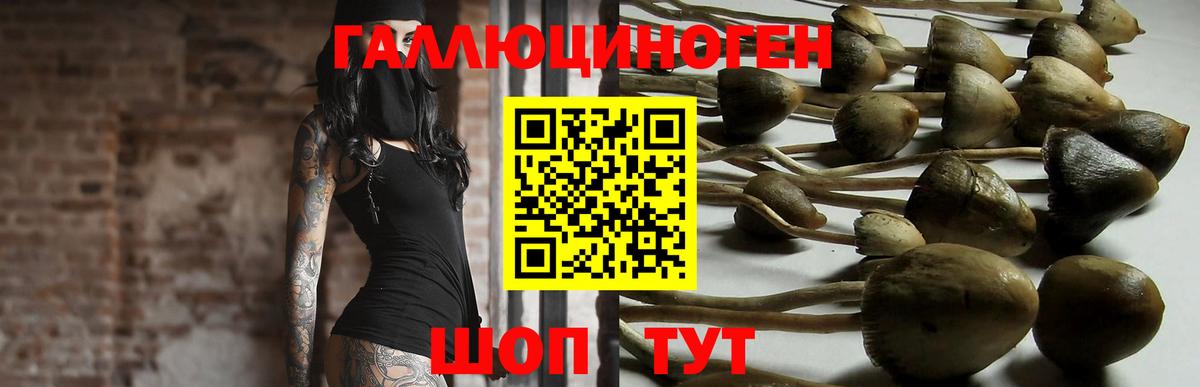 Галлюциногенные грибы Psilocybe  Вход с VPN  Галлюциногенные грибы Magic Shrooms  Белорецк 
